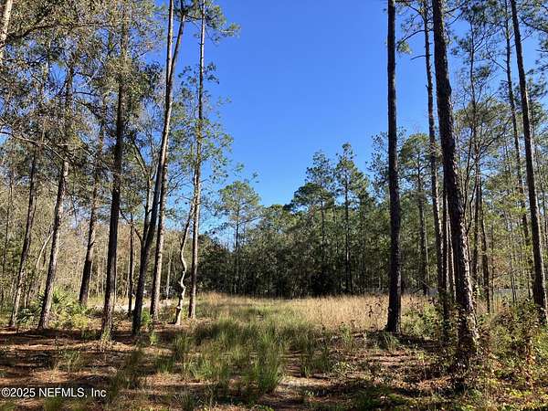 1.14 Acres of Residential Land for Sale in Hastings, Florida