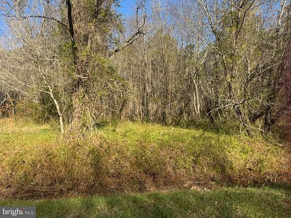 2 Acres of Land for Sale in Nanticoke, Maryland