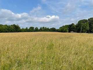 10 Acres of Residential Land for Sale in Lafayette, Tennessee