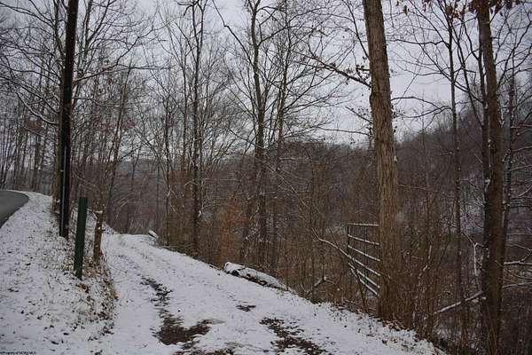 47 Acres of Land for Sale in Roanoke, West Virginia