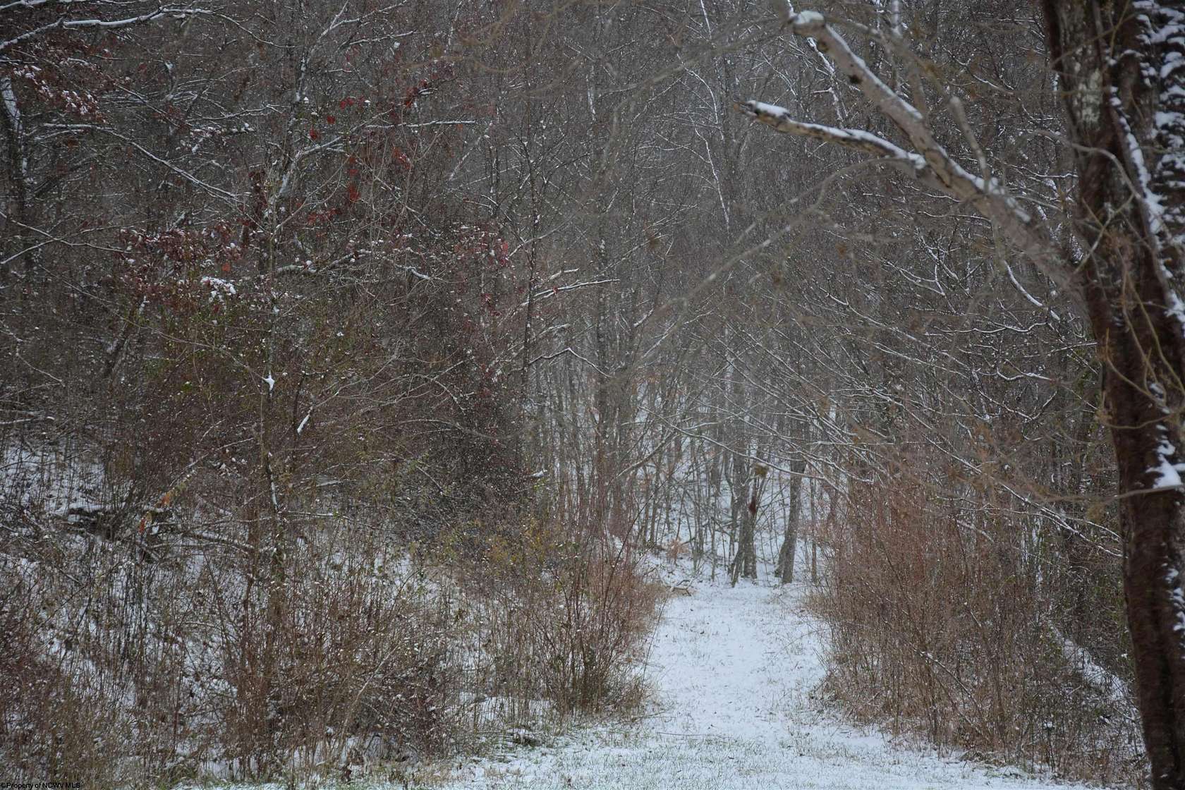 17 Acres of Land for Sale in Roanoke, West Virginia