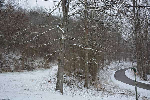 17 Acres of Land for Sale in Roanoke, West Virginia