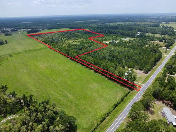 48.6 Acres of Agricultural Land for Sale in Brooker, Florida