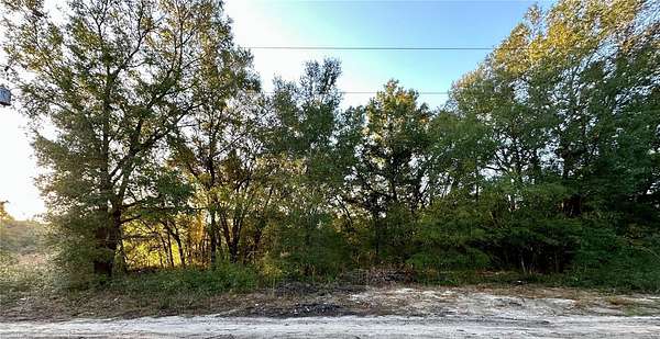 0.17 Acres of Residential Land for Sale in Ocala, Florida