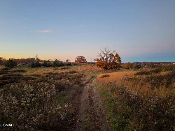 82.1 Acres of Land for Sale in Dandridge, Tennessee