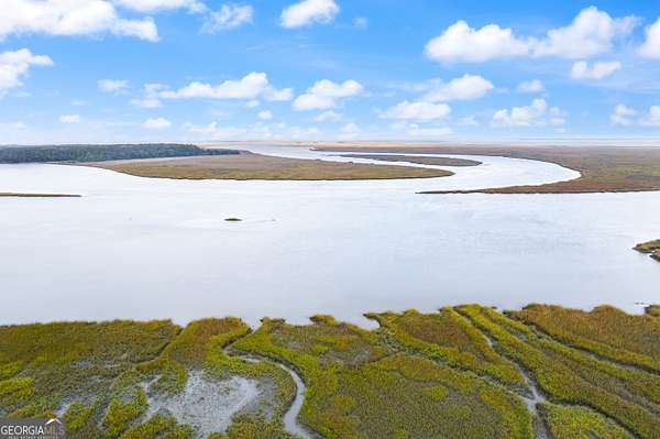 0.78 Acres of Residential Land for Sale in Townsend, Georgia