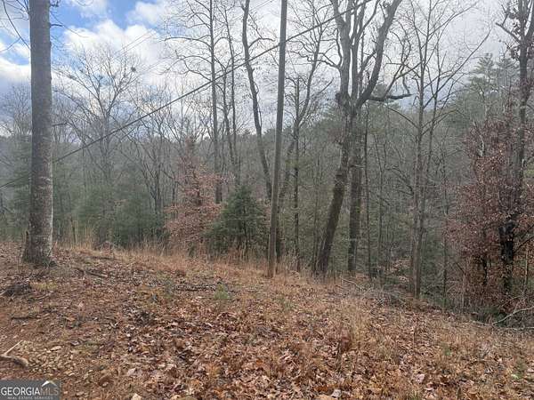 1.34 Acres of Land for Sale in Cleveland, Georgia