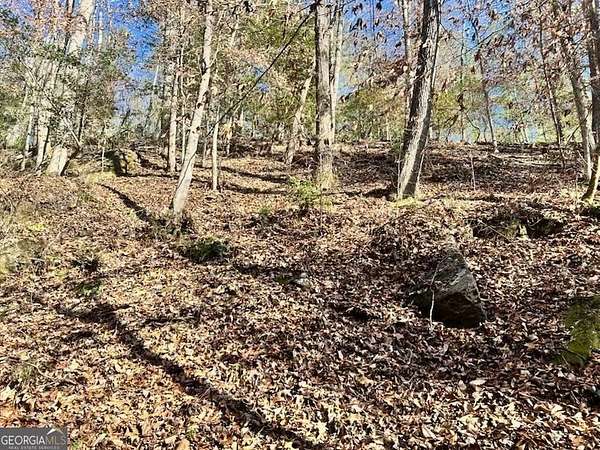 1.34 Acres of Residential Land for Sale in Cleveland, Georgia