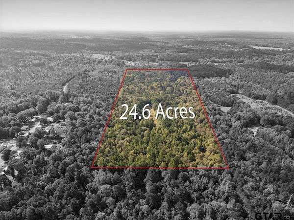 24.2 Acres of Recreational Land for Sale in Overton, Texas
