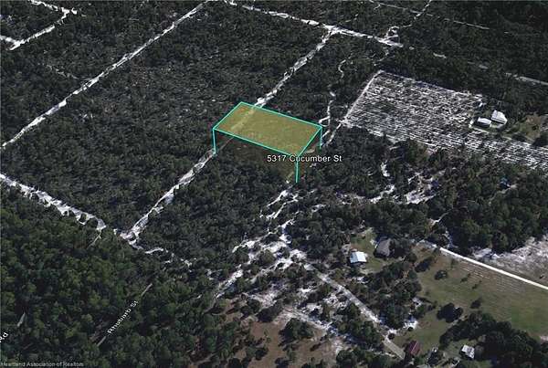1 Acre of Residential Land for Sale in Sebring, Florida