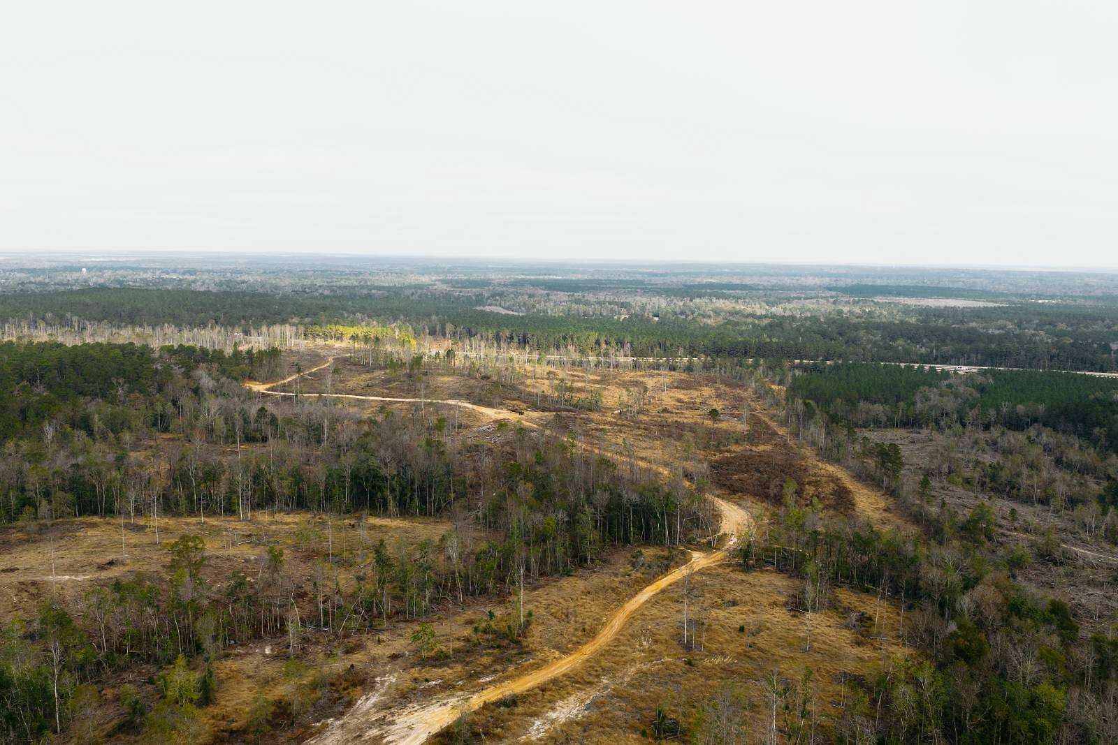 216 Acres of Land for Sale in Beaumont, Mississippi