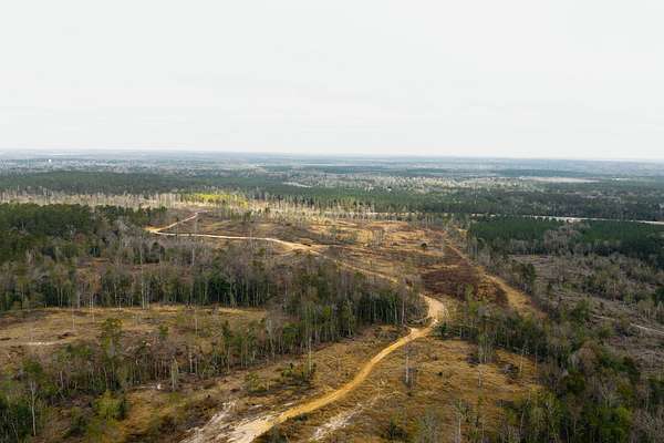 216 Acres of Land for Sale in Beaumont, Mississippi