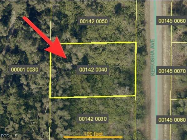 0.31 Acres of Land for Sale in Lehigh Acres, Florida