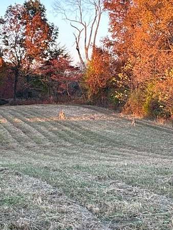 7.6 Acres of Residential Land with Home for Sale in Bethpage, Tennessee