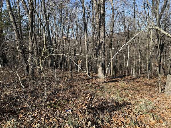 0.37 Acres of Residential Land for Sale in Kimberling City, Missouri