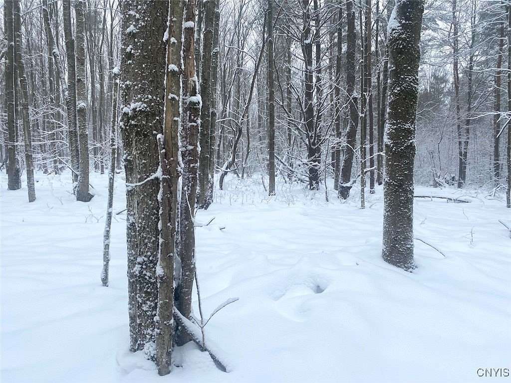 10 Acres of Recreational Land for Sale in Friendship, New York
