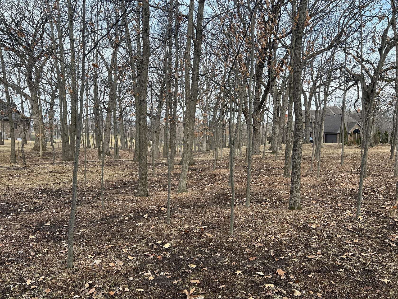 0.85 Acres of Residential Land for Sale in St. John, Indiana