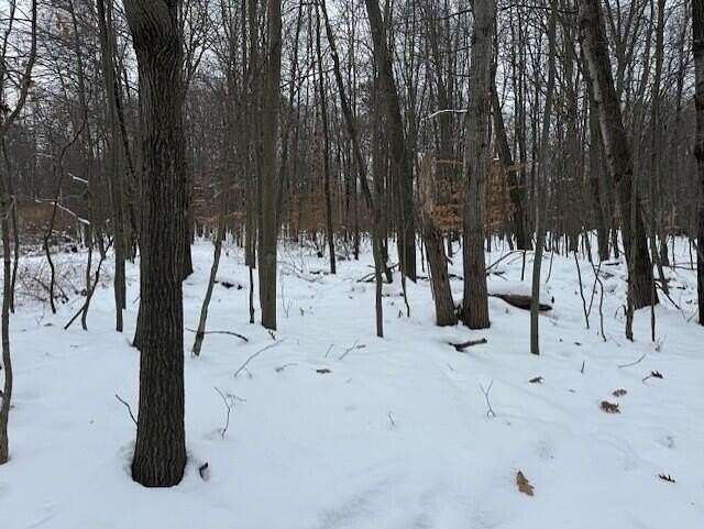 0.41 Acres of Residential Land for Sale in Stanwood, Michigan