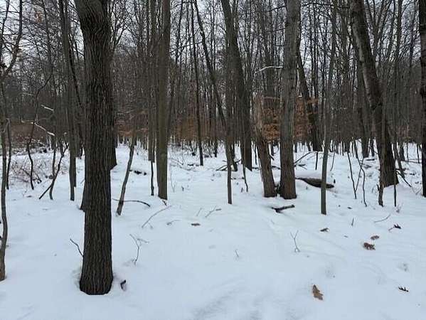 0.41 Acres of Residential Land for Sale in Stanwood, Michigan