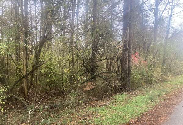 1 Acre of Residential Land for Sale in Burnside, Kentucky