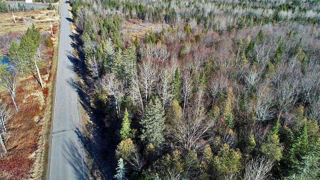 20 Acres of Land for Sale in Linneus, Maine