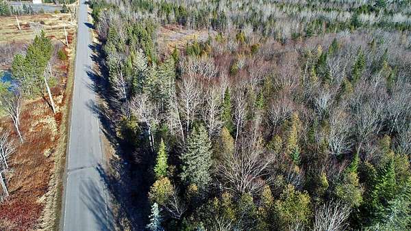 20 Acres of Land for Sale in Linneus, Maine