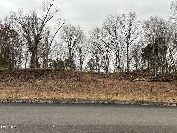 0.44 Acres of Residential Land for Sale in Mount Carmel, Tennessee