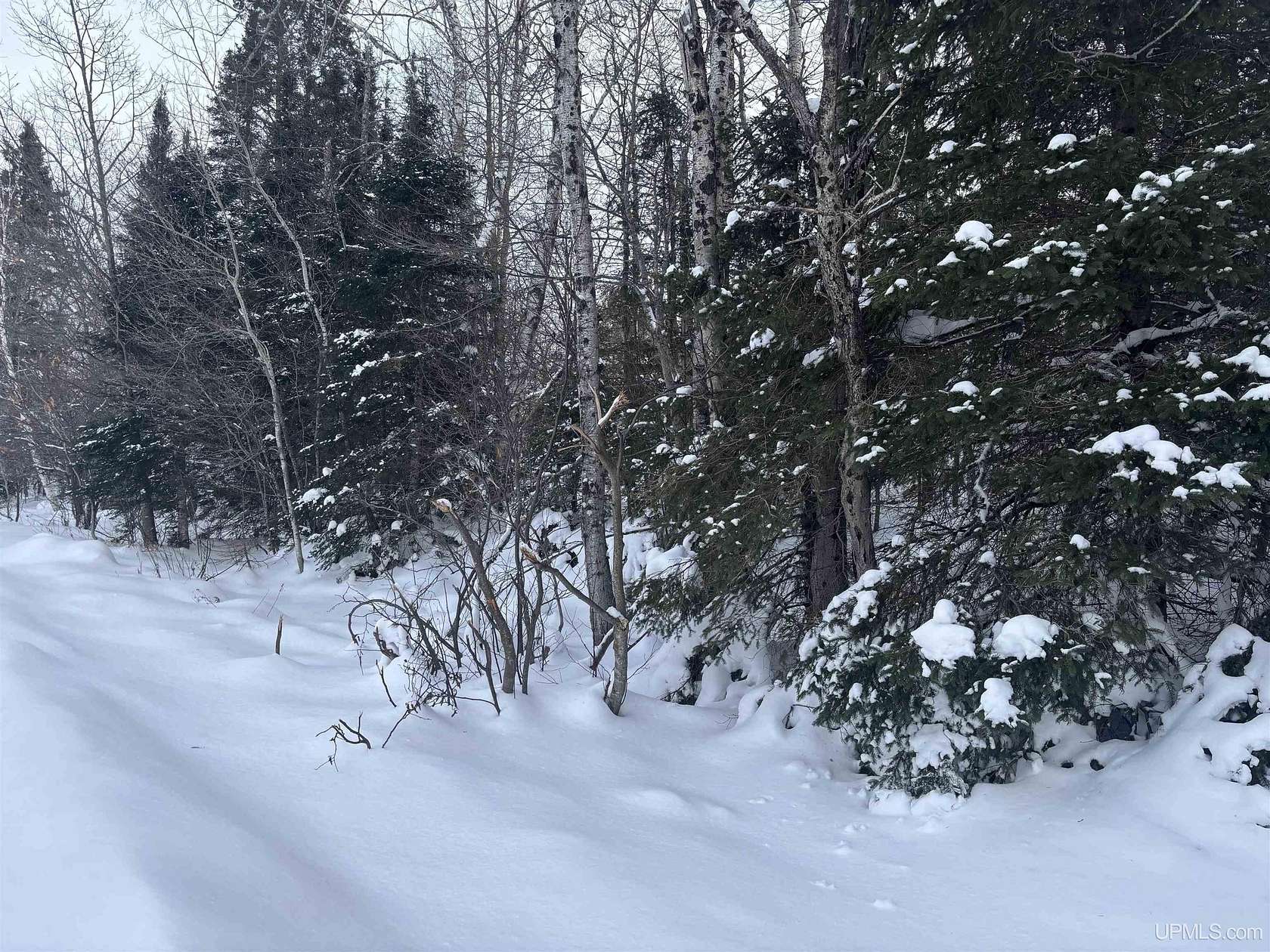 0.6 Acres of Residential Land for Sale in Champion, Michigan