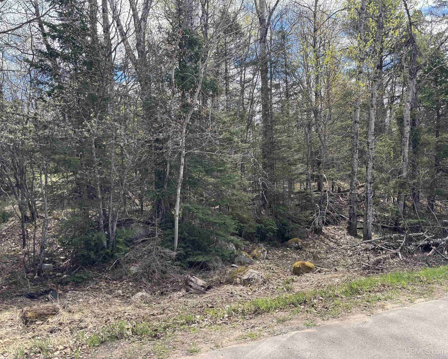 0.6 Acres of Residential Land for Sale in Champion, Michigan
