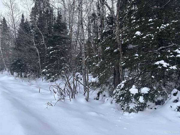 0.6 Acres of Residential Land for Sale in Champion, Michigan