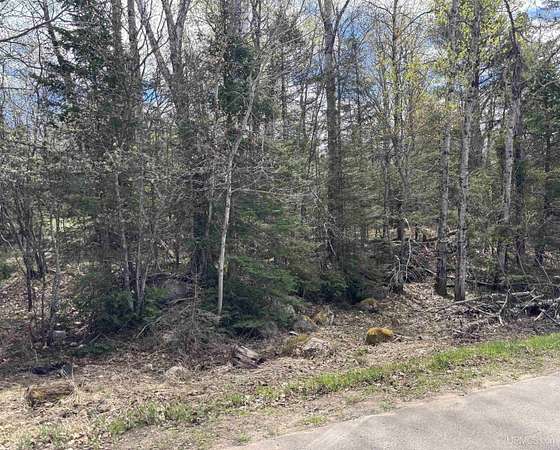 0.6 Acres of Residential Land for Sale in Champion, Michigan