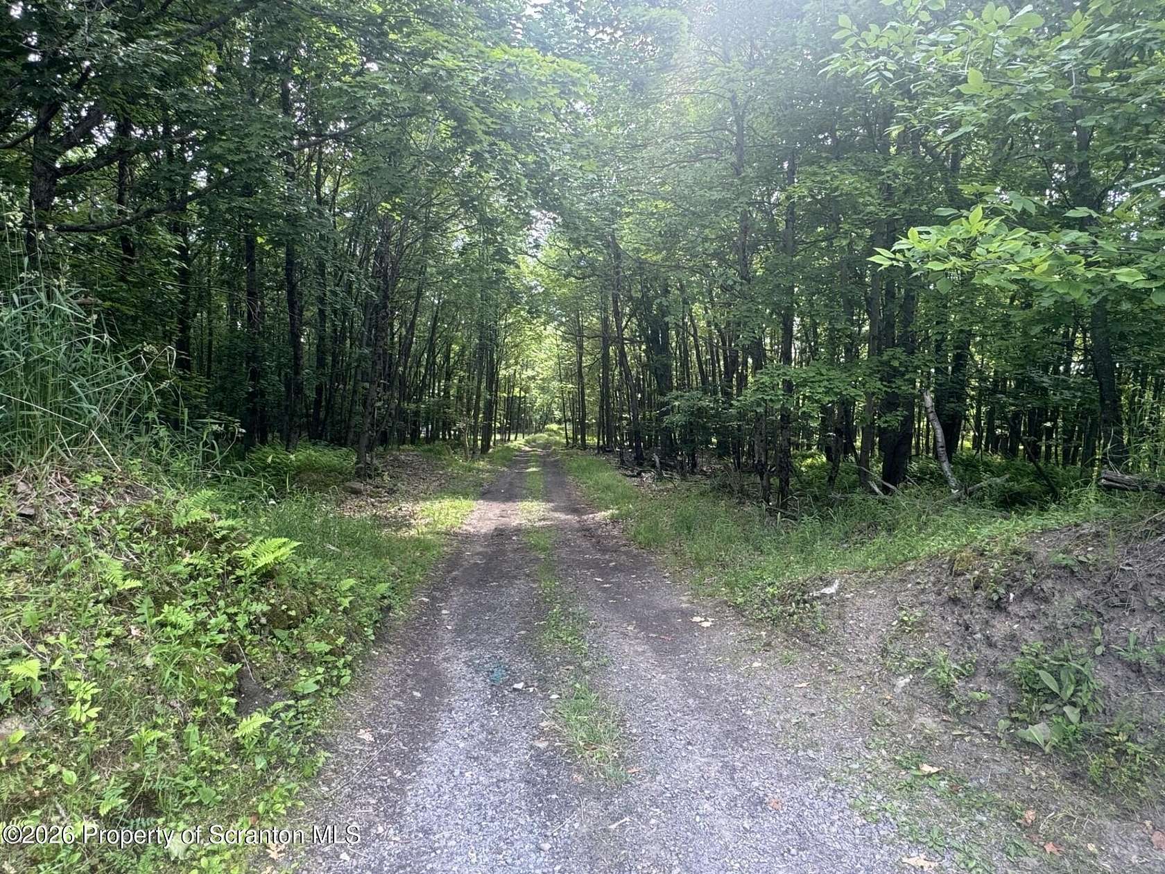 145 Acres of Recreational Land for Sale in Carbondale, Pennsylvania