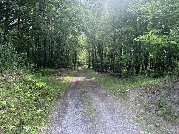145 Acres of Recreational Land for Sale in Carbondale, Pennsylvania