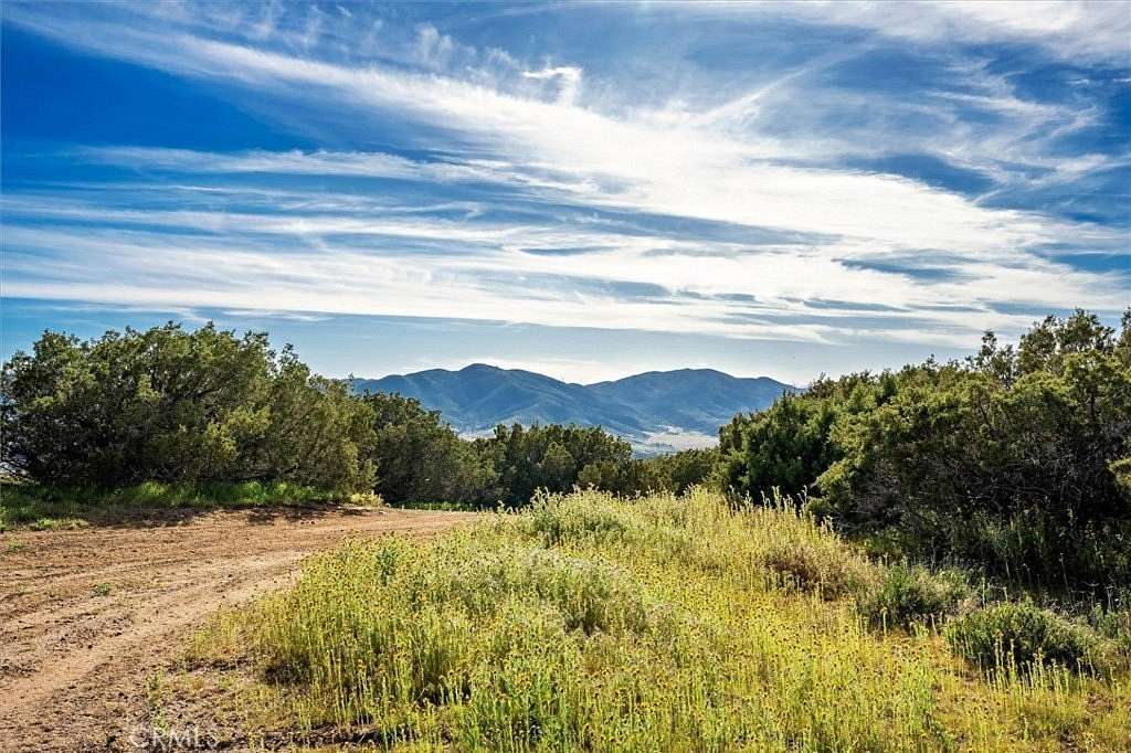 116 Acres of Agricultural & Residential Land for Sale in Leona Valley, California