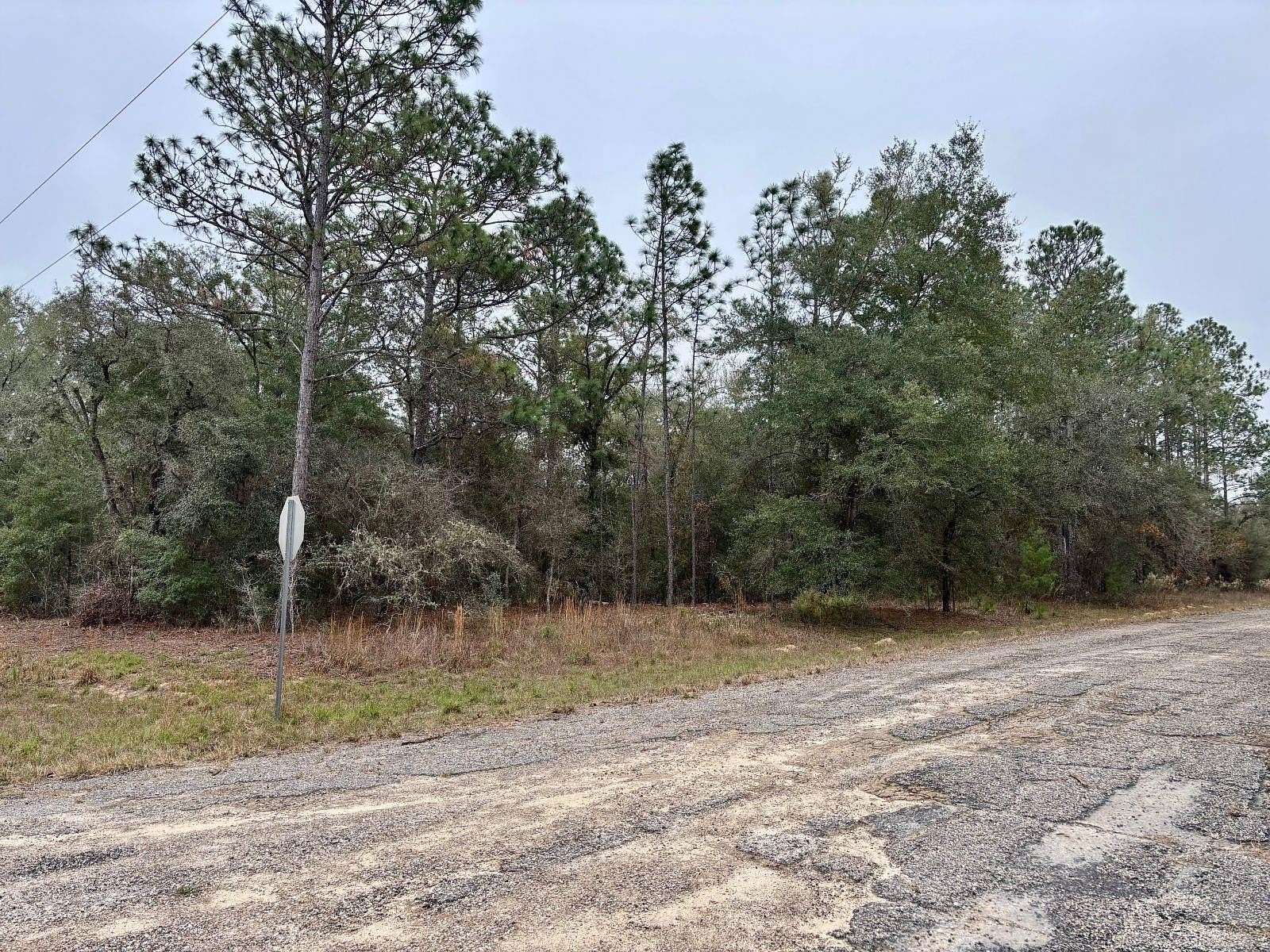 0.29 Acres of Residential Land for Sale in Citrus Springs, Florida