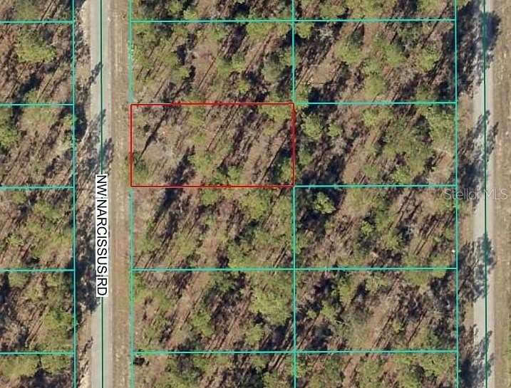 0.23 Acres of Residential Land for Sale in Dunnellon, Florida