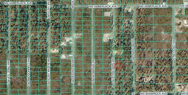 0.23 Acres of Residential Land for Sale in Dunnellon, Florida