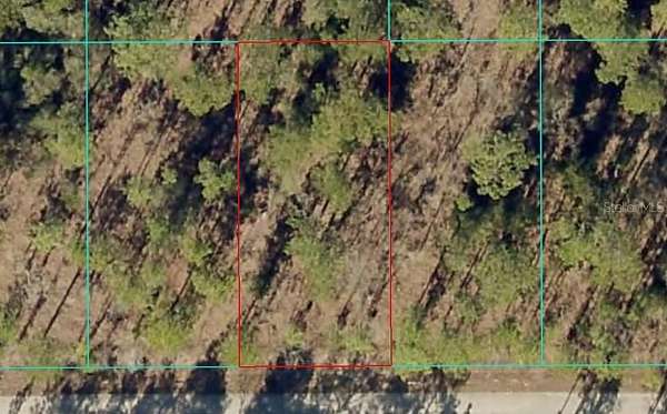 0.24 Acres of Residential Land for Sale in Dunnellon, Florida