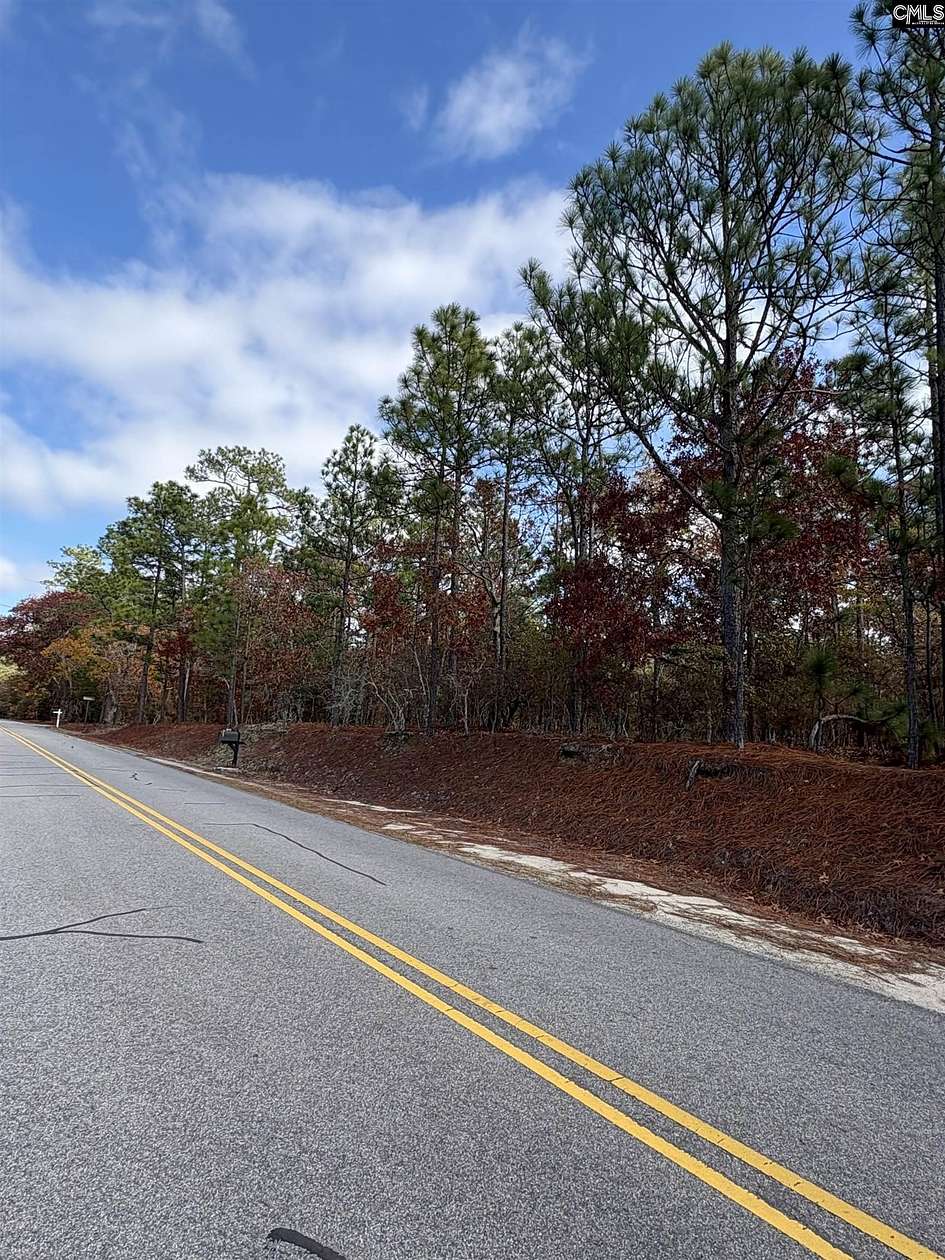 1 Acre of Residential Land for Sale in Swansea, South Carolina