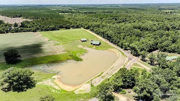 39 Acres of Land for Sale in Jay, Florida