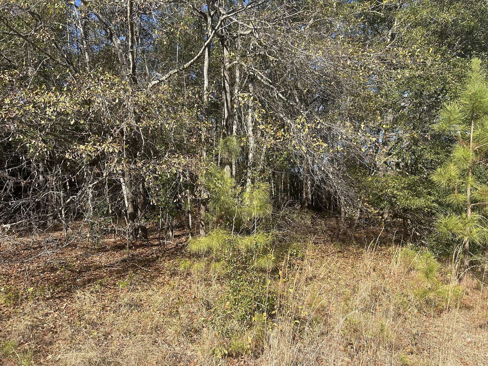 0.85 Acres of Residential Land for Sale in New Ellenton, South Carolina