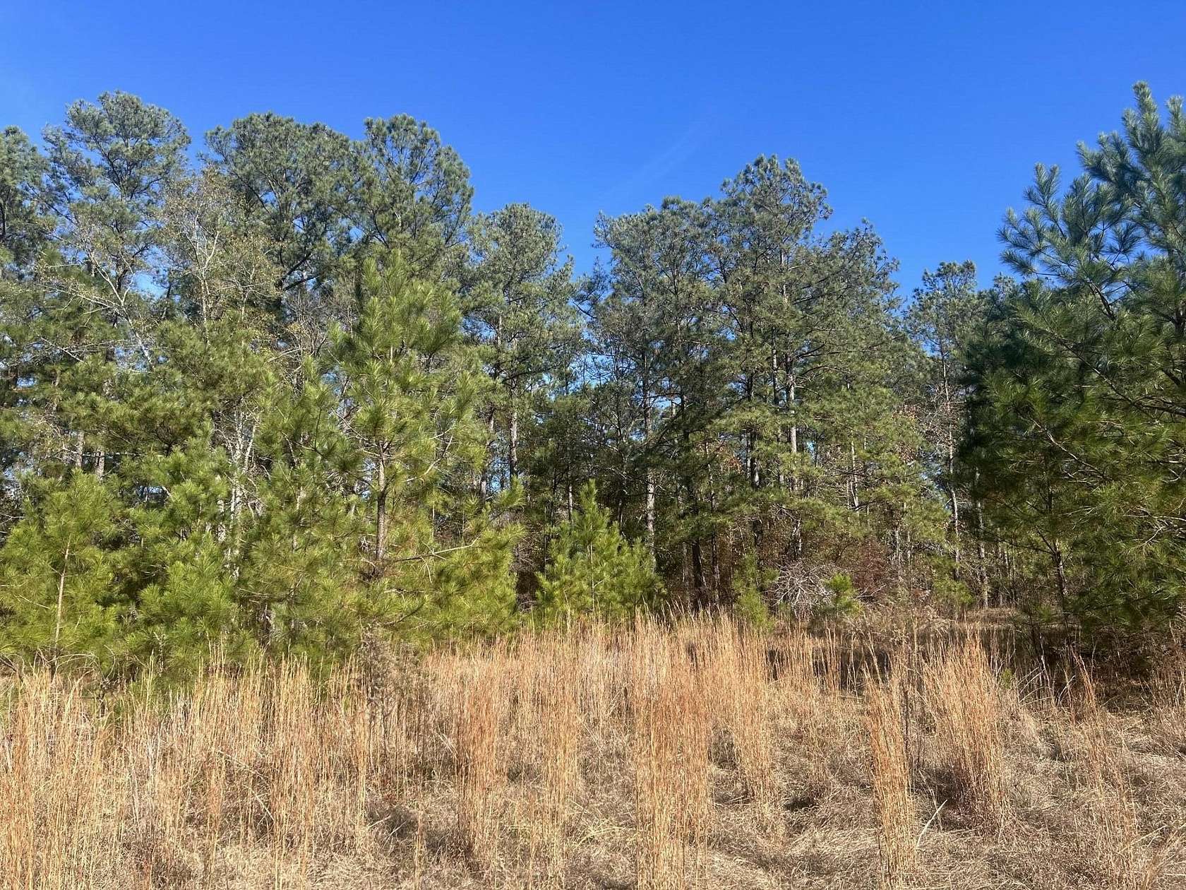 6.23 Acres of Residential Land for Sale in New Ellenton, South Carolina