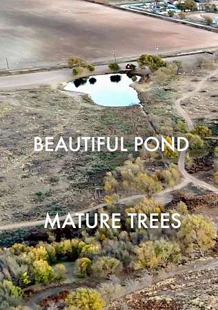 1 Acre of Residential Land for Sale in Shallowater, Texas