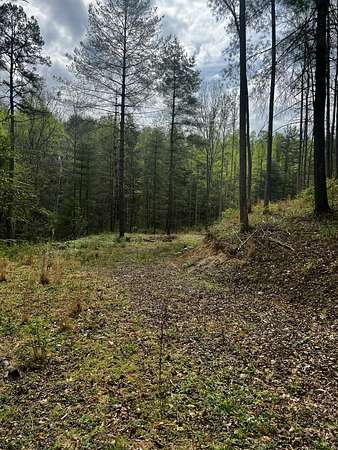 4.52 Acres of Residential Land for Sale in Campton, Kentucky