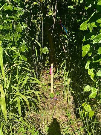 0.28 Acres of Land for Sale in Pahoa, Hawaii