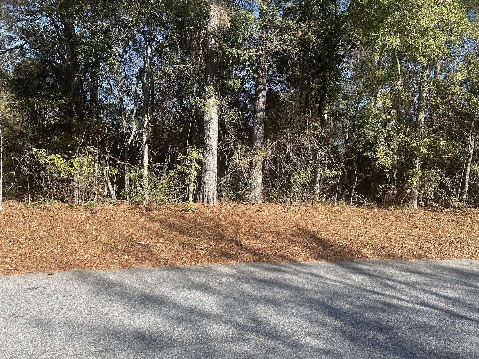 1.24 Acres of Residential Land for Sale in New Ellenton, South Carolina