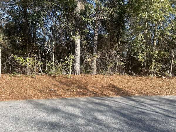 1.24 Acres of Residential Land for Sale in New Ellenton, South Carolina