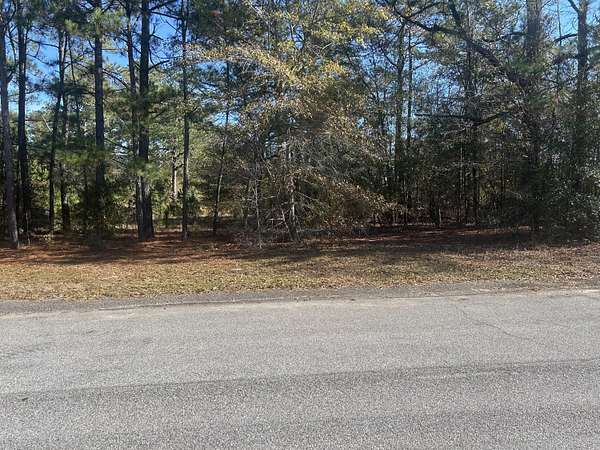 2 Acres of Residential Land for Sale in New Ellenton, South Carolina