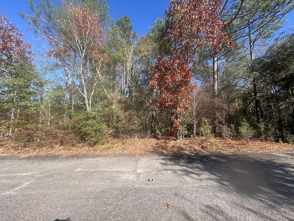 0.35 Acres of Residential Land for Sale in New Ellenton, South Carolina