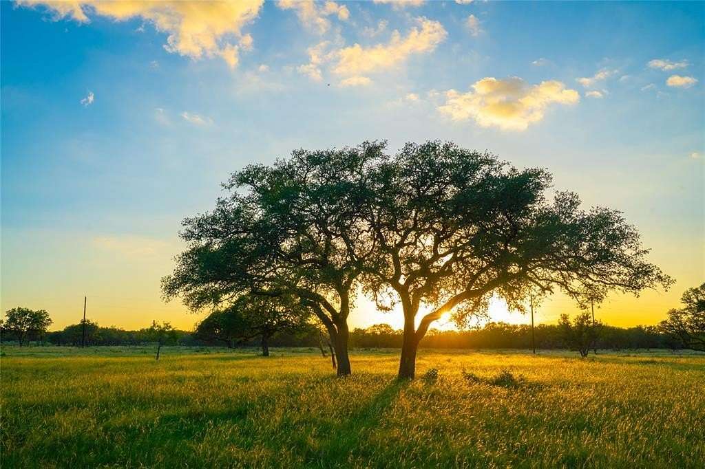 10.8 Acres of Land for Sale in Johnson City, Texas